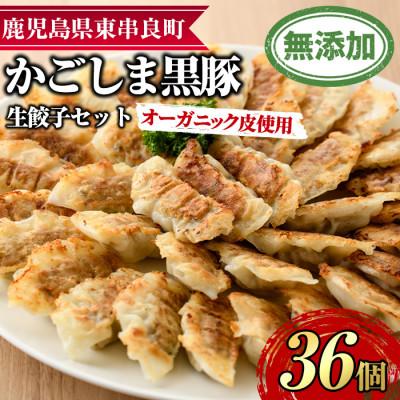 ふるさと納税 東串良町 オーガニック皮使用!鹿児島黒豚生餃子セット 計36個 [鹿児島ますや][0125107a]