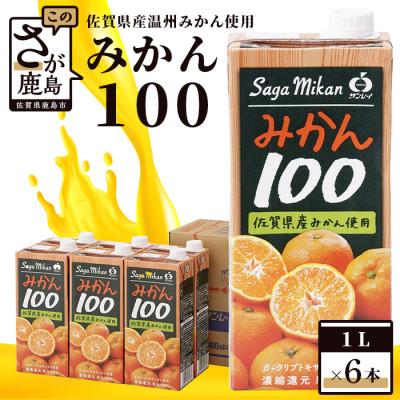 ふるさと納税 鹿島市 サンレイ『みかん100』 1L×6本(果汁100%)