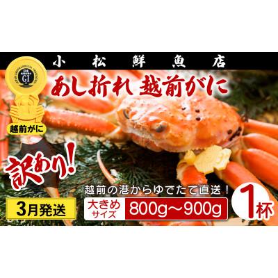 ふるさと納税 越前町 [訳あり]足折れ 越前がに 大きめサイズ × 1杯(800〜900g)[3月発送分]