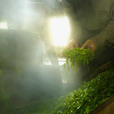 ふるさと納税 牧之原市 【1.5kg!】深蒸し 牧之原茶100g入×15袋　お茶農家直送　静岡茶 |  | 02