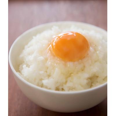 ふるさと納税 さぬき市 朝どれ卵30個
