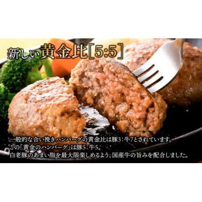 ふるさと納税 白老町 国産100%白老合挽ハンバーグ 150g×24 |  | 02