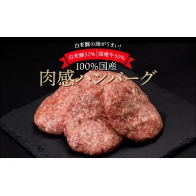 ふるさと納税 白老町 国産100%白老合挽ハンバーグ 150g×24 |  | 03