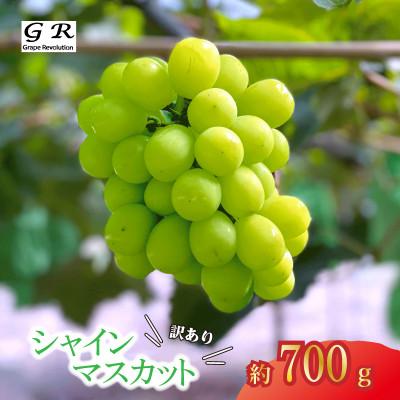 ふるさと納税 さぬき市 [先行受付]訳あり 朝採り出荷 シャインマスカット 約700g