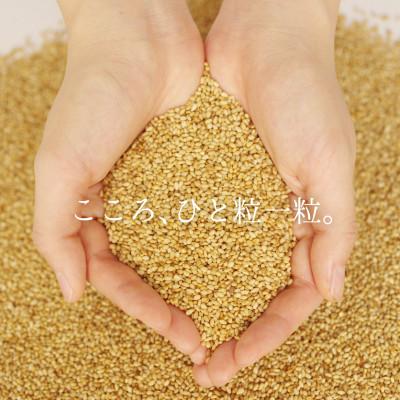 ふるさと納税 四日市市 九鬼ごま油三本+すりごまセット_3