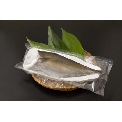 ふるさと納税 南大隅町 [ねじめ黄金カンパチ]フィレ 1尾分 ( 約1,250g × 2枚 )