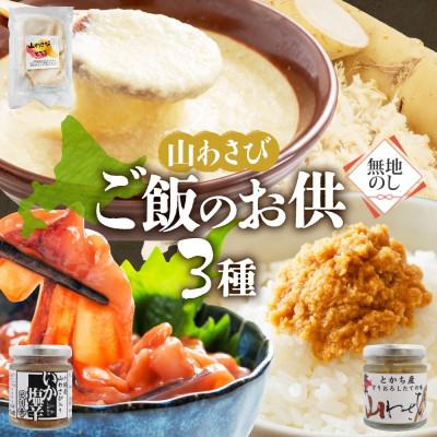 ふるさと納税 帯広市 熨斗 十勝 山わさび ごはんのお供 3種 とろろ&amp;イカの塩辛&amp;醤油漬け 各1点 北海道 帯広市