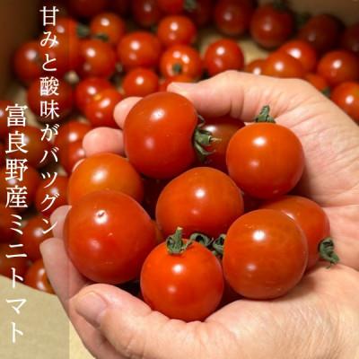 ふるさと納税 富良野市 2027年先行予約 北海道 完熟 富良野トマト