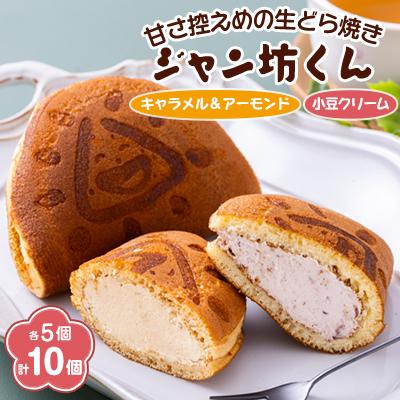 ふるさと納税 藤崎町 生どら焼き「ジャン坊くん」10個入(5個×2種類)