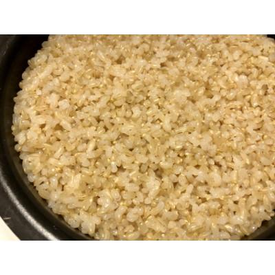 ふるさと納税 魚沼市 令和7年産有機JAS認証米 米農家自慢の 魚沼産 コシヒカリ玄米3kg×1袋