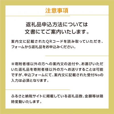 ふるさと納税 白川村 ＼あとから選べる/オンラインカタログ あとからチョイス [S530] |  | 03