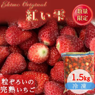 ふるさと納税 松山市 愛媛県オリジナル品種 紅い雫の冷凍イチゴ 1.5kg