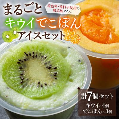 ふるさと納税 阿蘇市 阿蘇天然アイス まるごとキウイ、でこぽんアイスセット