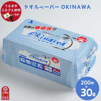ふるさと納税 うるま市 ペーパータオル吸水性抜群!タオルペーパー「OKINAWA」