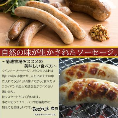 ふるさと納税 岩手町 【無添加】牧場ソーセージ600g|朝食・お弁当に人気 |  | 02