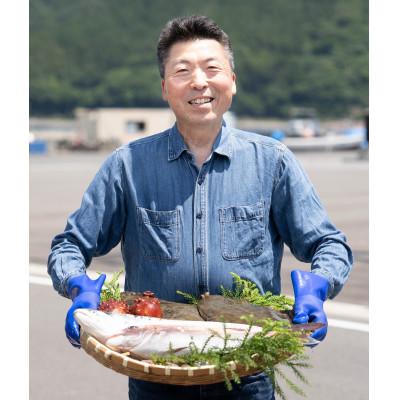ふるさと納税 女川町 近海お刺身詰合せ