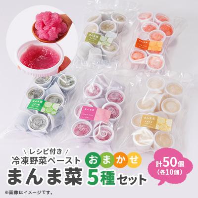 ふるさと納税 尾張旭市 まんま菜 冷凍野菜ペーストおまかせ5種セット