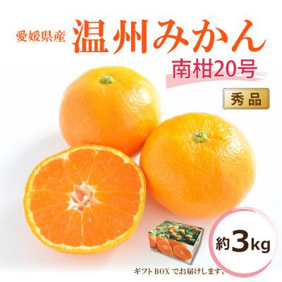 ふるさと納税 松山市 [2026年12月中旬から発送予定]温州みかん 「南柑20号」<秀品>約3kg[ギフトBOX]