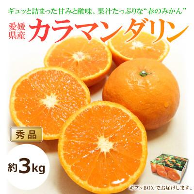 ふるさと納税 松山市 [2026年4月上旬頃から発送予定]カラマンダリン<秀品> 約3kg [ギフトBOX入り]