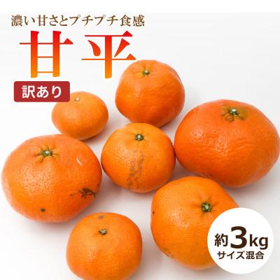 ふるさと納税 松山市 [2026年1月中旬頃から発送予定]甘平(かんぺい)[訳あり] 約3kg