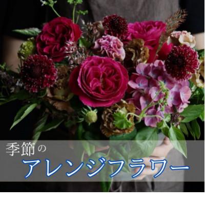ふるさと納税 中間市 [margue]季節のアレンジメントフラワーB 〜4月より順次発送〜