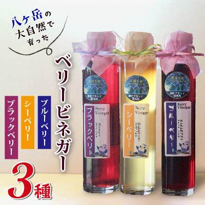 ふるさと納税 原村 八ヶ岳の大自然で育ったベリービネガー3本セット(ブラックベリー、シーベリー、ブルーベリー)