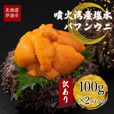 ふるさと納税 伊達市 訳あり 北海道産 塩水 バフンウニ 100g×2パック 計200g