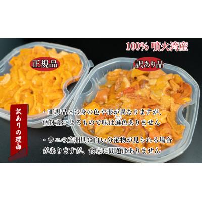 ふるさと納税 伊達市 訳あり 北海道産 塩水 バフンウニ 100g×2パック 計200g |  | 01