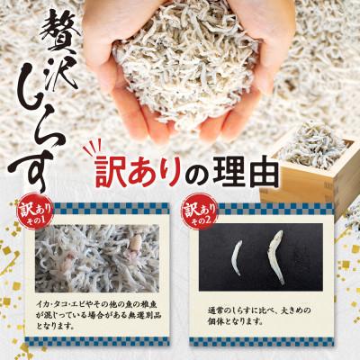 ふるさと納税 南知多町 訳ありしらす干し 2kg (1kg×2箱) 冷凍 減塩 南知多町師崎 山庄水産 |  | 02