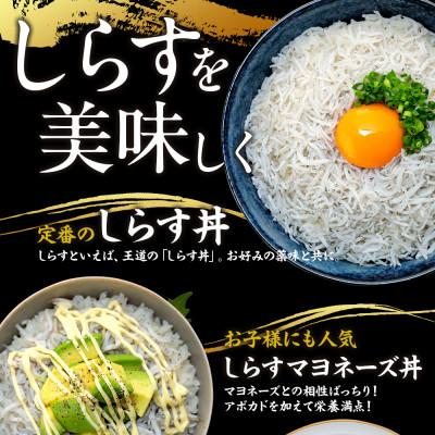 ふるさと納税 南知多町 訳ありしらす干し 2kg (1kg×2箱) 冷凍 減塩 南知多町師崎 山庄水産 |  | 03