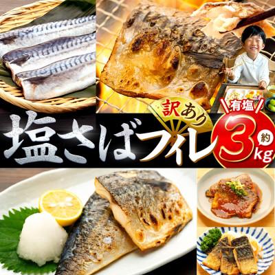 ふるさと納税 南知多町 訳あり 塩さばフィレ 約3kg(30枚前後入り) 冷凍便にてお届け!おかずにぴったり!