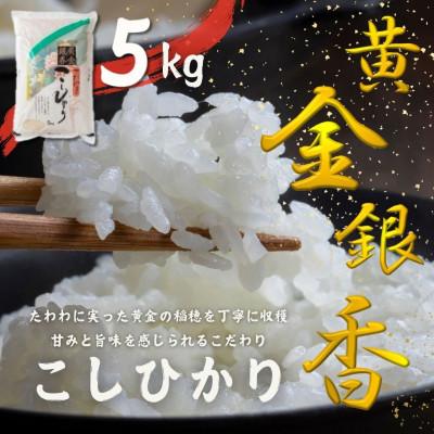 ふるさと納税 矢吹町 令和7年産〜黄金銀香〜[福島県産]コシヒカリ5kg(精米)甘みと旨味が感じられるこだわりの米