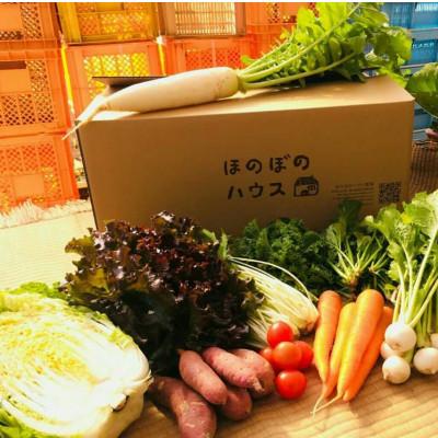ふるさと納税 美作市 【畑から直送】岡山美作産　旬を楽しみ味覚を育む野菜約8種(約5kg) |  | 01