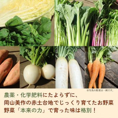 ふるさと納税 美作市 【畑から直送】岡山美作産　旬を楽しみ味覚を育む野菜約8種(約5kg) |  | 02