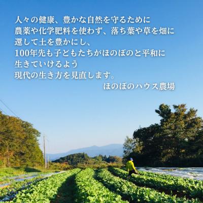 ふるさと納税 美作市 【畑から直送】岡山美作産　旬を楽しみ味覚を育む野菜約8種(約5kg) |  | 03