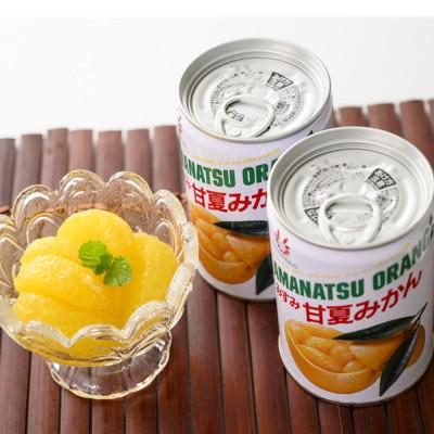 ふるさと納税 宇城市 【 JA 熊本うき】三角特産 甘夏みかん缶詰 6缶入り★ |  | 03
