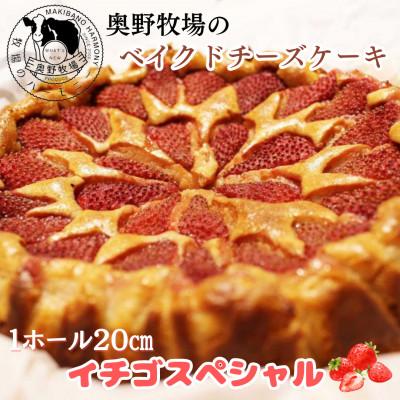 ふるさと納税 袖ケ浦市 奥野牧場 ベイクドチーズケーキ[イチゴスペシャル] ホール(大)20cm