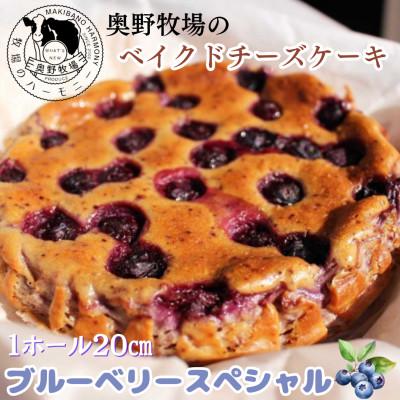 ふるさと納税 袖ケ浦市 奥野牧場 ベイクドチーズケーキ[ブルーベリースペシャル] ホール(大)20cm
