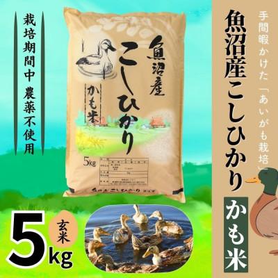 ふるさと納税 十日町市 [令和7年産]魚沼産コシヒカリかも米(玄米)5kg