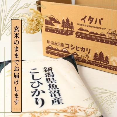ふるさと納税 十日町市 【令和8年産】魚沼産コシヒカリ金印(玄米)5kg |  | 02