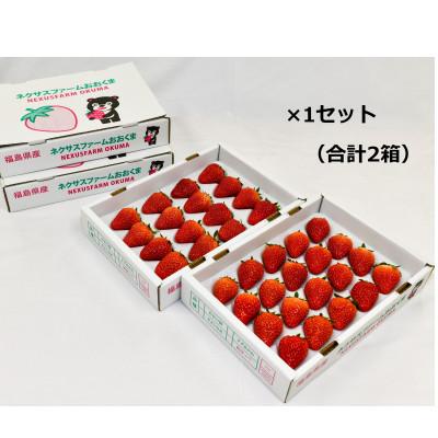 ふるさと納税 大熊町 [2026年3月発送]福島県大熊町産いちご おおくまベリー (品種:紅ほっぺ 約320g×2箱)