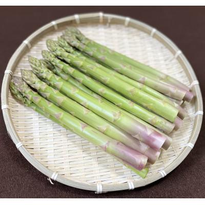 ふるさと納税 鷹栖町 北海道産グリーンアスパラガス Lサイズ以上 500g×2袋