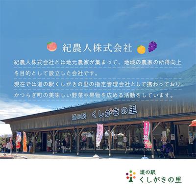 ふるさと納税 紀の川市 桃先行受付! 【川中島白桃】(大玉特秀品) 約2kg 6〜9個入 こだわり農家厳選!の画像