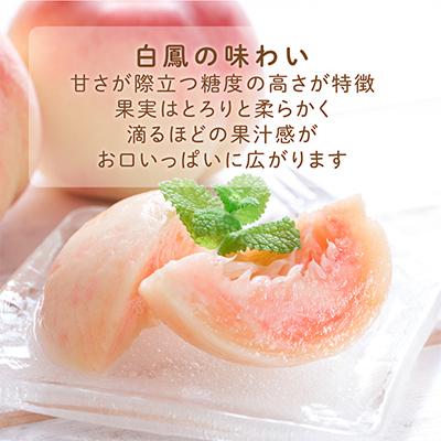 ふるさと納税 九度山町 先行受付! 桃の王様【白鳳】 特秀品 約2kg 6〜9
