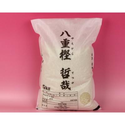 ふるさと納税 北上市 予約受付[令和8年産]九代目八重樫哲哉作 銀河のしずく 5kg(精米)