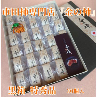ふるさと納税 豊丘村 【先行受付】【市田柿専門店　金の柿】黒箱「特秀品」2Lサイズ30個入り | 