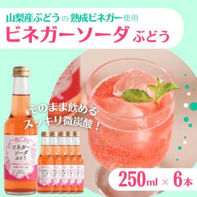 ふるさと納税 笛吹市 山梨産ぶどう100%の熟成ビネガーで造った!そのまま飲める『ビネガーソーダぶどう6本セット』