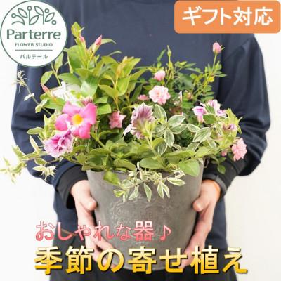 ふるさと納税 北上市 花屋が贈る季節の寄せ植え鉢