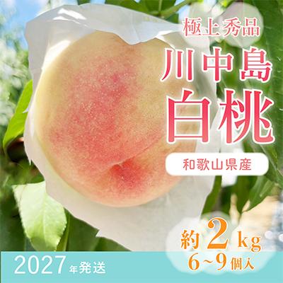 ふるさと納税 日高町 先行受付! 桃【川中島白桃】 (大玉特秀品) 約2kg