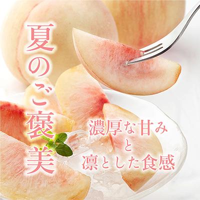 ふるさと納税 日高町 先行受付! 桃【川中島白桃】 (大玉特秀品) 約2kg